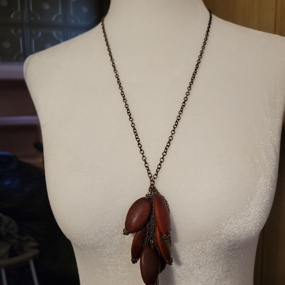 Long  chain with brown wooden pendants